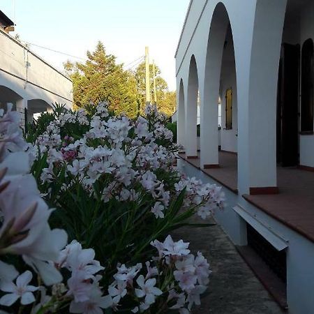 Il Lentisco Lägenhet Marina di Mancaversa Exteriör bild